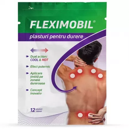 Fleximobil x 12 plasturi