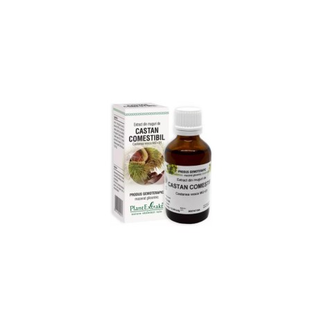 Plant E Extract Muguri de Castan Comestibil
