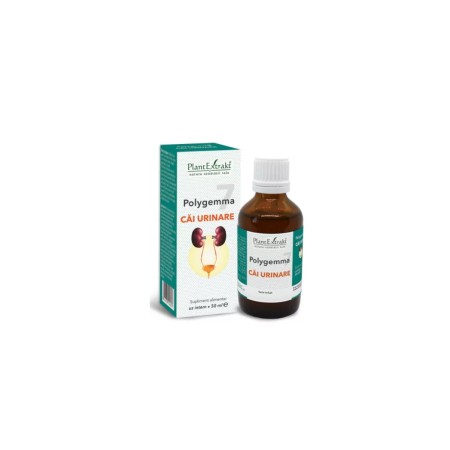 Plant E Polygemma nr. 7 Cai urinare 50ml