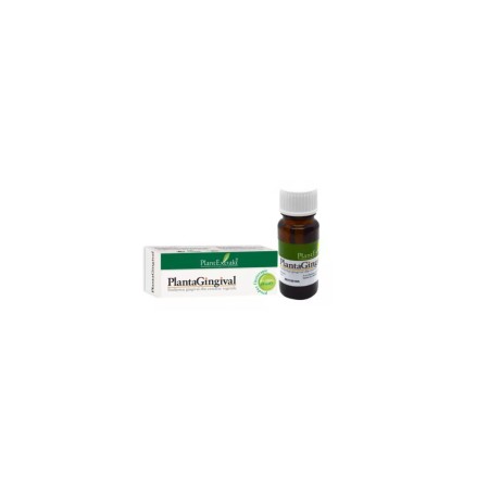 Plant E Plantagingival 10ml