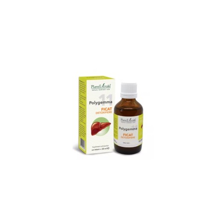 Plant E Polygemma nr. 11 Ficat-detoxifiere x 50ml