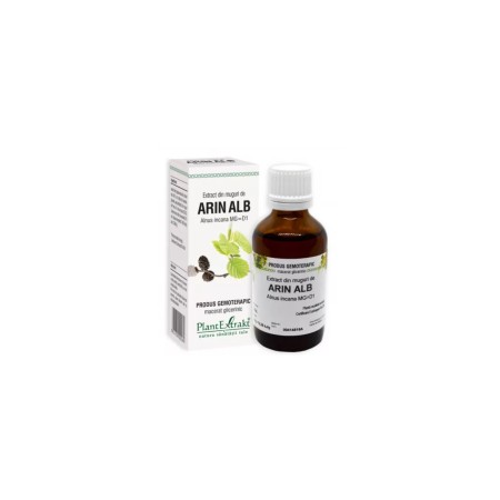 Plant E Extract Muguri de Arin Alb
