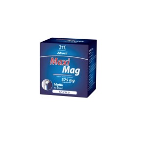 Zdrovit Maximag-plic x 20