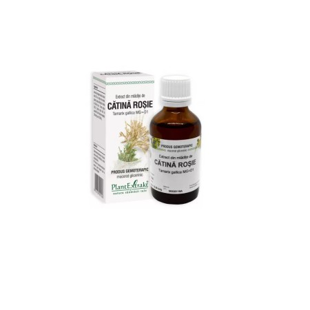 Plant E Extract Mladite de Tamarix 50ml
