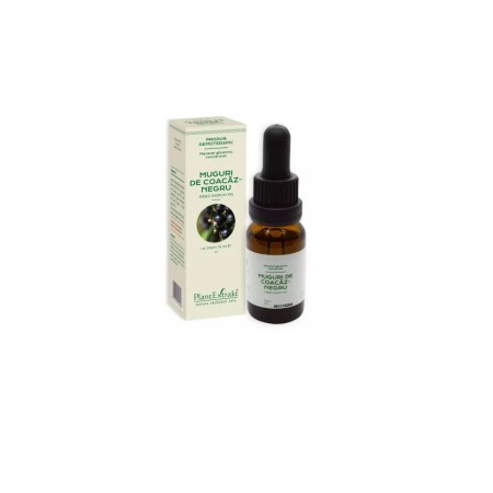 Plant E Extract Muguri de Coacaz Negru