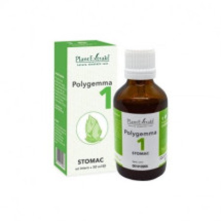 Plant E Polygemma nr. 1 Stomac x 50ml