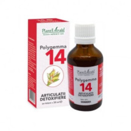 Plant E Polygemma nr. 14 Articulatii-Detoxifiere x 50ml