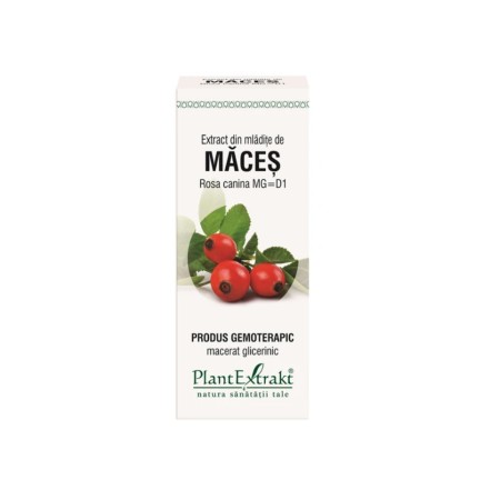 Plant E Extract Mladite de Maces 50ml