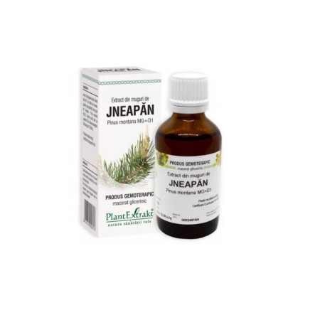 Plant E Extract Muguri de Jneapan