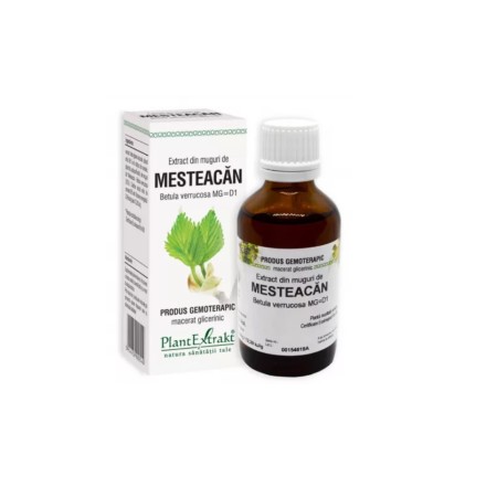 Plant E Extract Muguri de Mesteacan