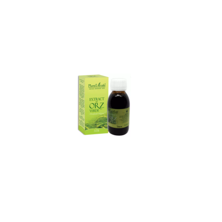 Plant E Extract Orz Verde 120ml