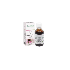 Plant E Tinctura Echinacea 50 ml