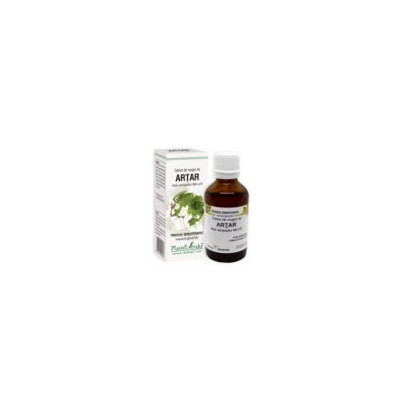 Plant E Extract Muguri de Artar