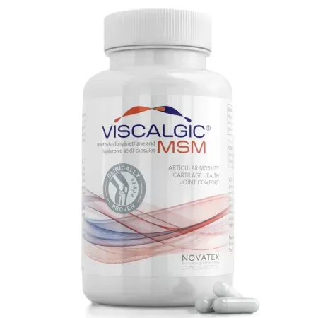 Viscalgic MSM x 120 capsule