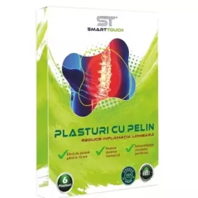 Plasturi pelin dureri lombare x 6 buc